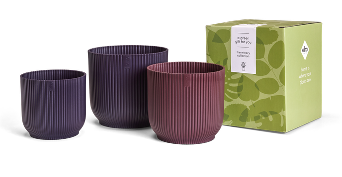 GIFT winery collection 14,16,18 multicolore